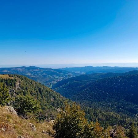 Les Jonquilles: Gite 8/10 Pers. Avec Vue Imprenable! Gérardmer Exteriér fotografie