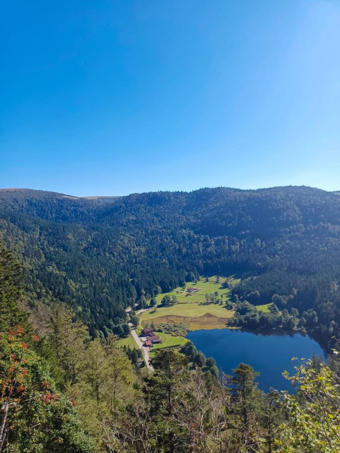 Les Jonquilles: Gite 8/10 Pers. Avec Vue Imprenable! Gérardmer Exteriér fotografie